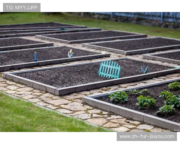 足球雨水收集系统在草坪灌溉中的实际应用效果分析